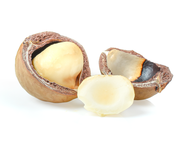Organic-MACADAMIA-Protein-Powder