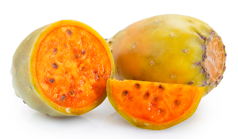 Organic-PRICKLY-PEAR-flour-parodi-nutra