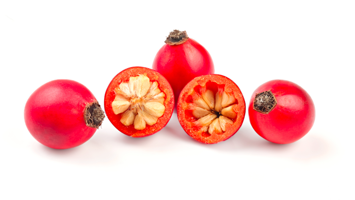 Organic-ROSEHIP-RC01-Powder