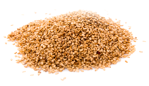 Organic-SESAME-Protein-Powder