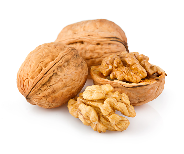 Organic-WALNUTS-Protein-Powder