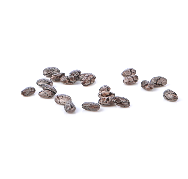 black-chia-seed-protein-powder