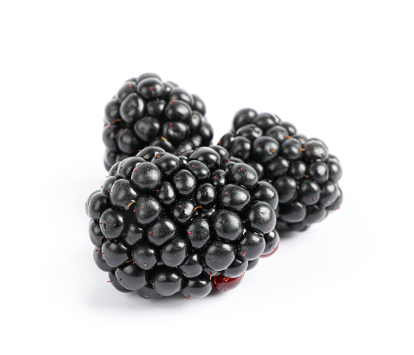 BLACKBERRY Flour