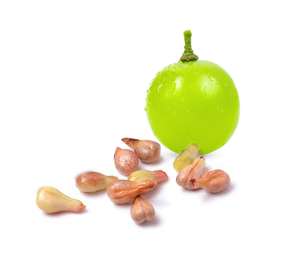 seed_GRAPESEED-Powder