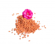 Camelina Japonica vegetable oil