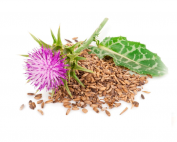 Cardo Mariano seed oil
