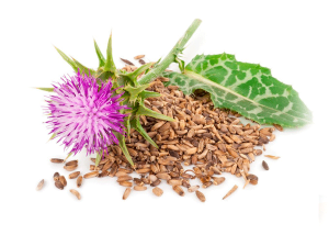 Cardo Mariano seed oil