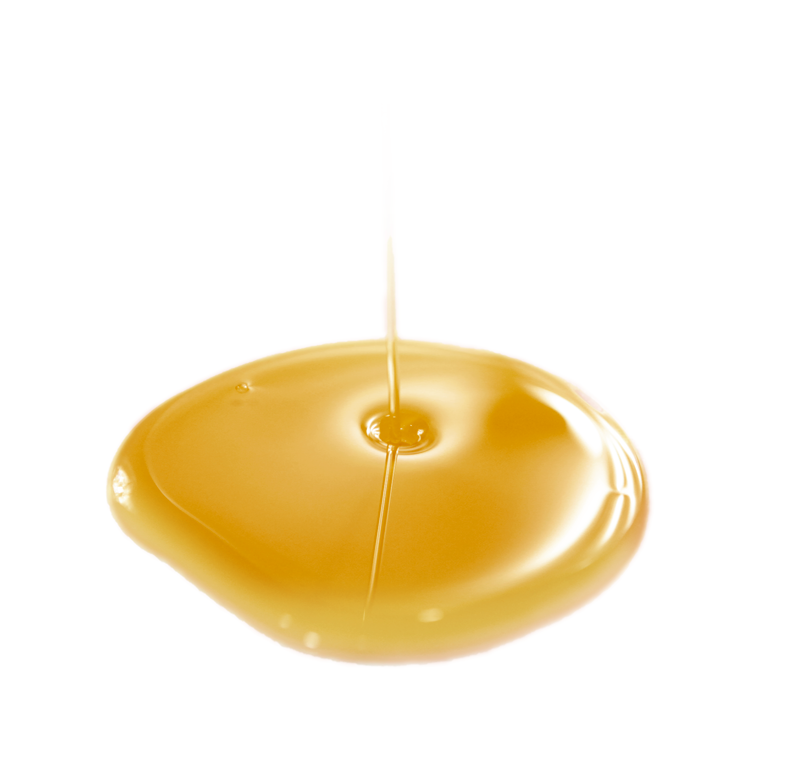oil vegetable Organic