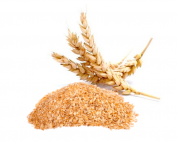 Conventional-WHEAT-GERM-oil-parodi-nutra