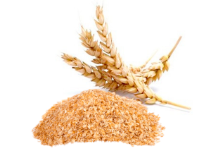 Conventional-WHEAT-GERM-oil-parodi-nutra
