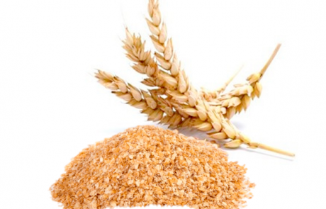 Conventional-WHEAT-GERM-oil-parodi-nutra
