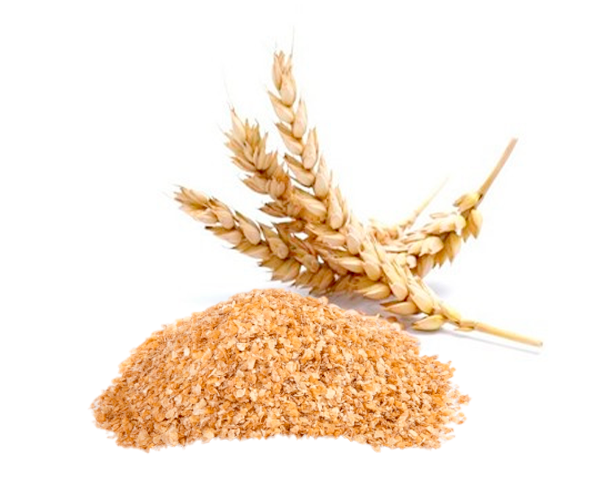 Conventional WHEAT Germ Oil Parodi Nutra