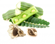 Moringa seed oil