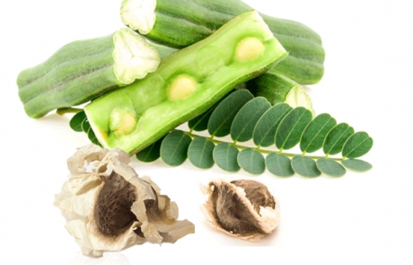 Moringa seed oil