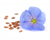 Linum seed oil
