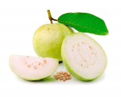Guanabana Oil