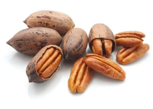 OIL SEED PECAN