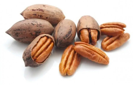 OIL SEED PECAN