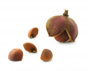 Olio-di-Te-Verde-seed-oil-parodi-nutra