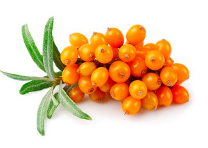 Olivello-spinoso-seed-oil-parodi-nutra