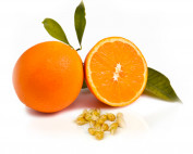 Orange seed Conventional
