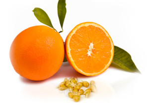 Orange seed Conventional