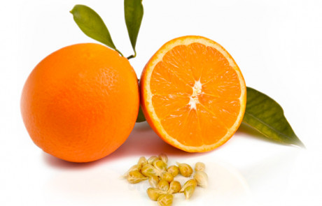 Orange seed Conventional