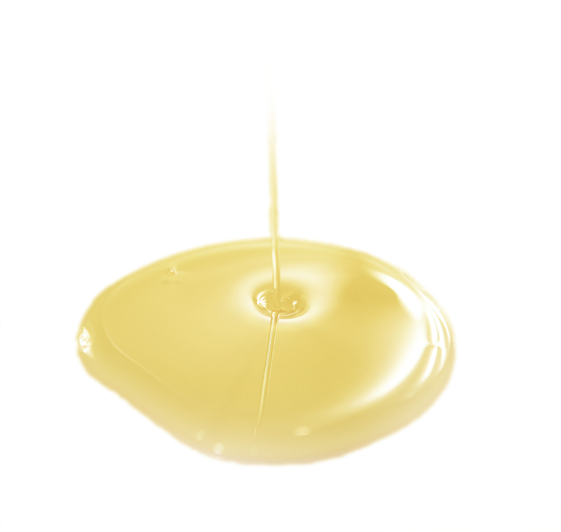 oil vegetable Organic