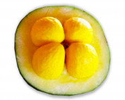 PEQUI seed oil