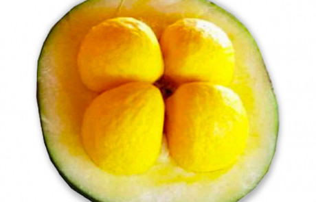 PEQUI seed oil