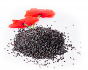 POPPPY-SEED-ORGANIC