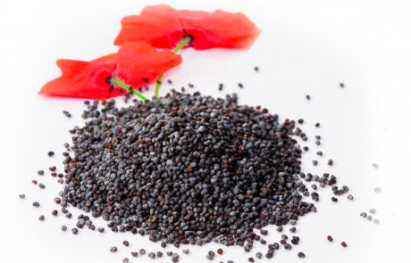 POPPPY-SEED-ORGANIC
