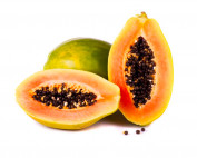 Oil seed obtained from PAPAYA