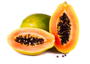 Oil seed obtained from PAPAYA