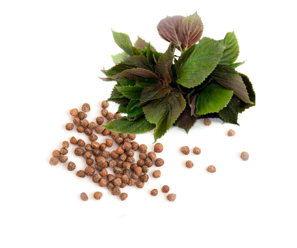 Perilla oil Perilla oil