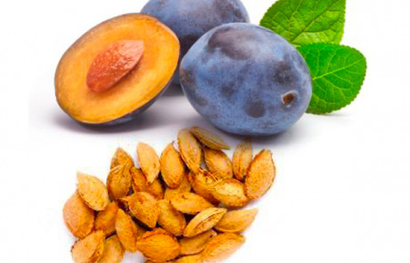 Plum kernel seed oil