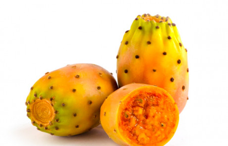 Prickly-Pear-Seed