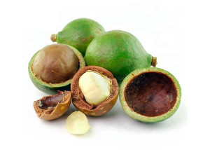 Tamanu oil