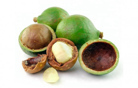 Tamanu oil