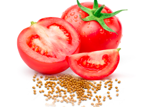 Tomato-seed-oil-seed-oil-parodi-nutra