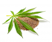 Hemp Seed Oil