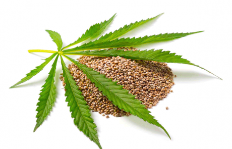 Hemp Seed Oil