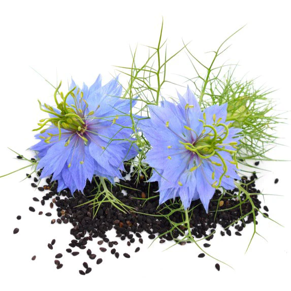 nigella_black_cumin_web_820x