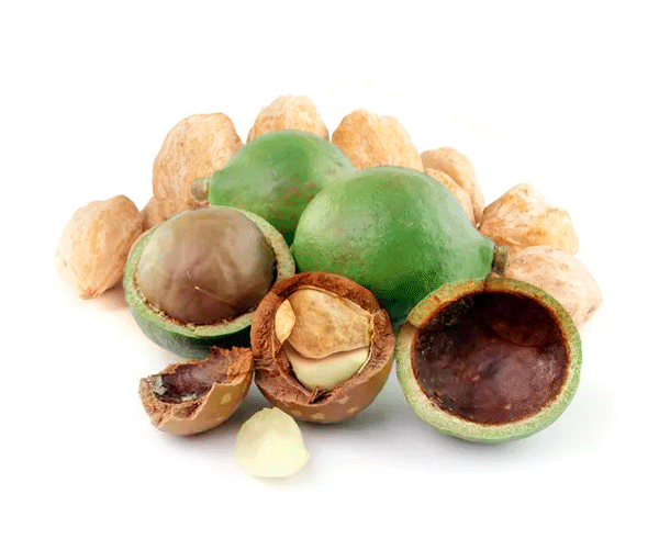 Kukui discount nut oil