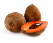 olio di Sapote seed oil by parodi nutra