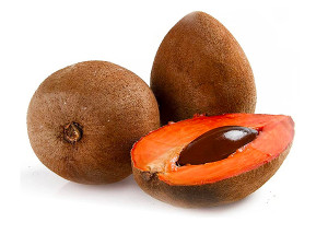 olio di Sapote seed oil by parodi nutra