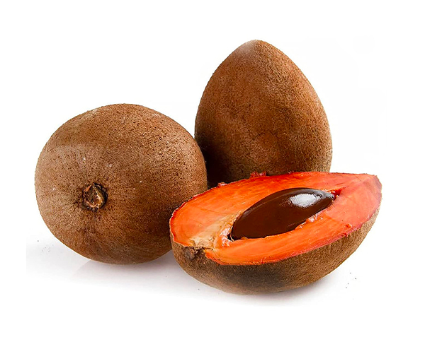 Conventional SAPOTE seed oil