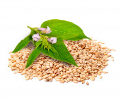 SESAME SEED OIL -parodi nutra