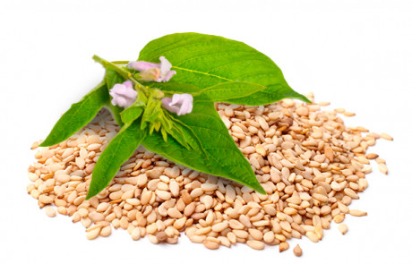 SESAME SEED OIL -parodi nutra