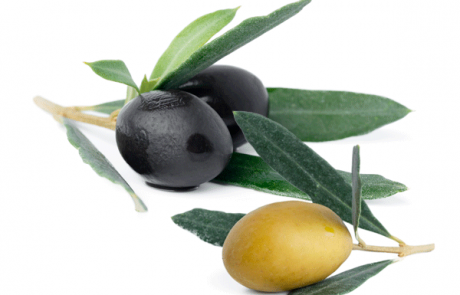 OLIVO SEED OIL